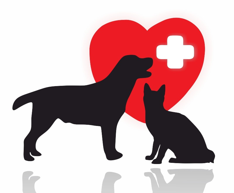 Learn Pet CPR & First Aid - for Dogs & Cats